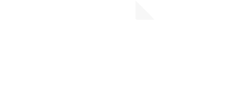 ikona
